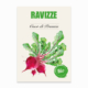 Ravizze